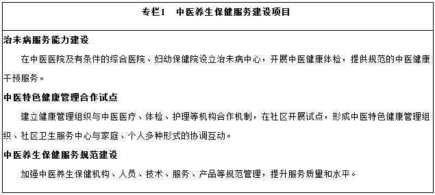 中醫(yī)養(yǎng)生保健服務建設項目